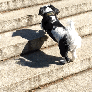 GIF by namslam