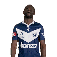 Football Soccer Sticker by Melbourne Victory FC