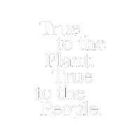 Weed Cannabis Sticker by The Source