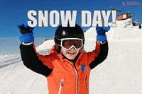 SkiBro skiing skibro GIF