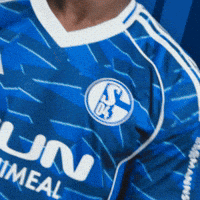 Football Soccer GIF by FC Schalke 04