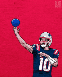 New England Patriots Football GIF