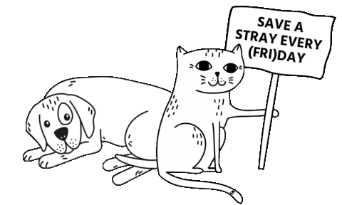 Black Friday Cats Sticker by STRAYZ