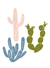 Boho Cactus Sticker