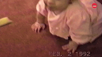 Dog GIF by BuzzFeed