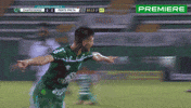 Serie A GIF by Canal Premiere