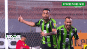 Serie A Felipe GIF by Canal Premiere