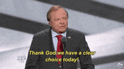 republican national convention rnc GIF by Election 2016
