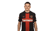Bayer Leverkusen What Sticker by Bundesliga