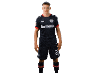 Bayer 04 Werkself Sticker by Bayer 04 Leverkusen