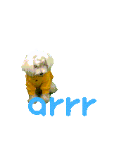 아르르 Sticker by arrr_official