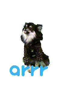 아르르 Sticker by arrr_official