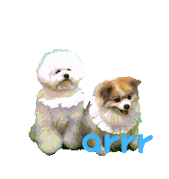 아르르 Sticker by arrr_official