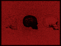 Color Dark GIF