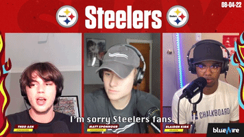 I'm Sorry Steelers Fans