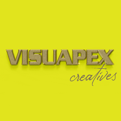 Digital Marketing Visuapex GIF by Miry