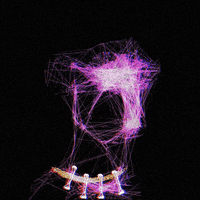 LineApeClub obscure line ape club obscure prints line apes GIF