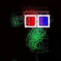 LineApeClub obscure line ape club obscure prints line apes GIF