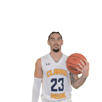 Mens Basketball Sticker by Clarke University