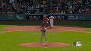 Yell Lets Go GIF by MLB