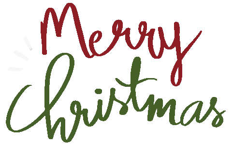 Merry Christmas Sticker by Flying the Nest