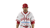 hunger games mexico Sticker by Aguilas de Mexicali Baseball Club