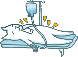 mammamiu cat sick cutecat poor cat Sticker