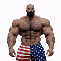 American Bear GIF by Database數據