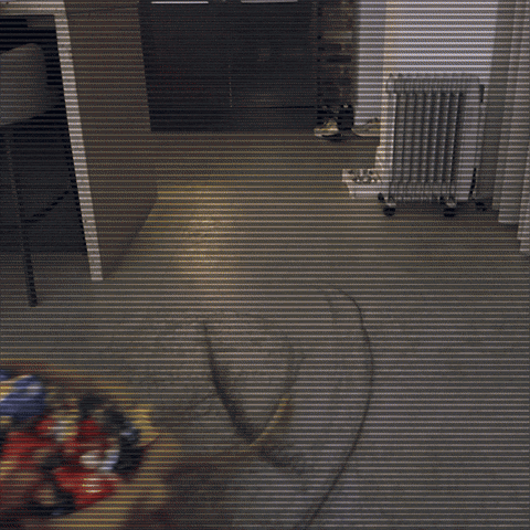 elfwatch giphyupload xmas elf elf on the shelf GIF