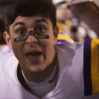 Death Valley Football GIF by LSU Tigers
