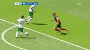 euro 2016 ireland GIF by Sporza