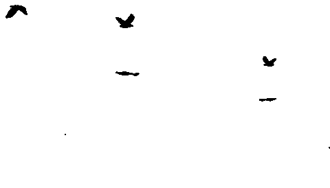 Bill Skarsgard Crow Sticker by Lionsgate