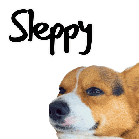 Sleepy Sticker