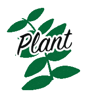 Plants Sticker