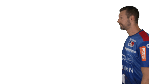 Handball-Bundesliga Sport Sticker by LIQUI MOLY HBL