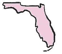 South Florida Beauty Sticker by laserbynicole