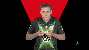 Vfl Wolfsburg Fifa GIF by Bundesliga
