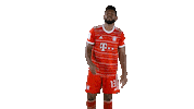 Happy Football Sticker by FC Bayern Munich