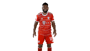 Happy Lets Go Sticker by FC Bayern Munich