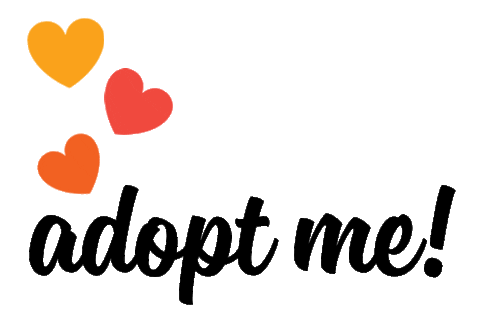 onetailatatime giphyupload adopt adoptme adoptable Sticker