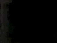 Tv Show Television GIF by WGBH Boston