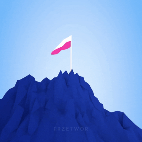 przetwor giphyupload animation flag motion graphics GIF