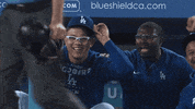 Happy Lets Go GIF by MLB