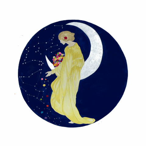 MoonshadowFest giphyupload moonshadow moonshadowfestival moonshadowfest GIF