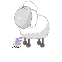 EngelNatur sheep wool engel engelnatur Sticker