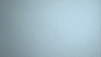 Esmage giphyupload GIF