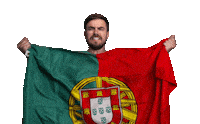Celebrate Euro 2024 Sticker by Jake Martella