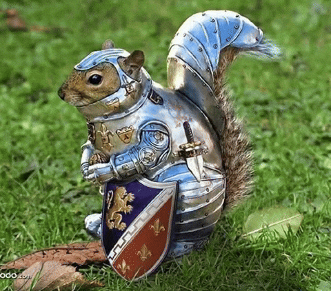 Squirrel Dank Meme GIF by Database數據
