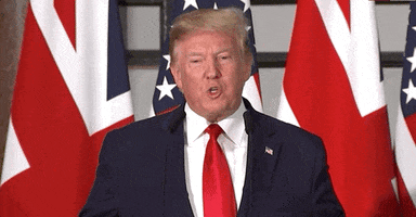 Donald Trump Uk State Visit 2019 GIF by GIPHY News