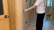 吉貓寓所 GIF by Choc Ye